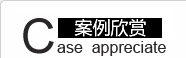 網站建設方案